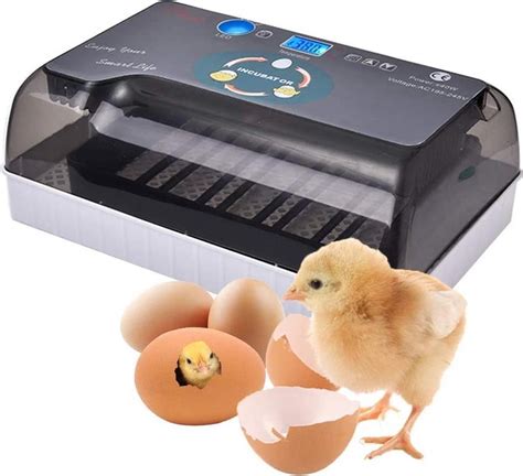 incubator broedmachine handleiding.